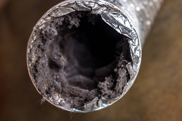Best Residential Air Duct Cleaning  in Wetumka, OK